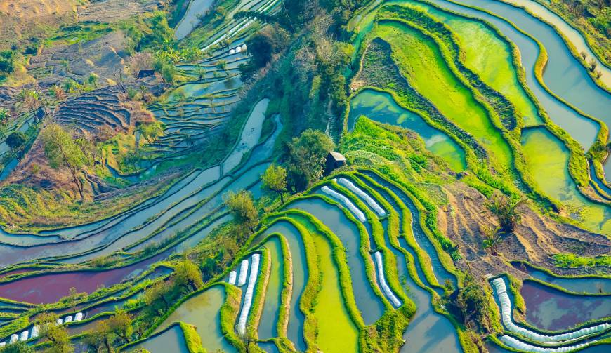 宝妈必备神器：荔城区产品视频拍摄轻松育儿好帮手